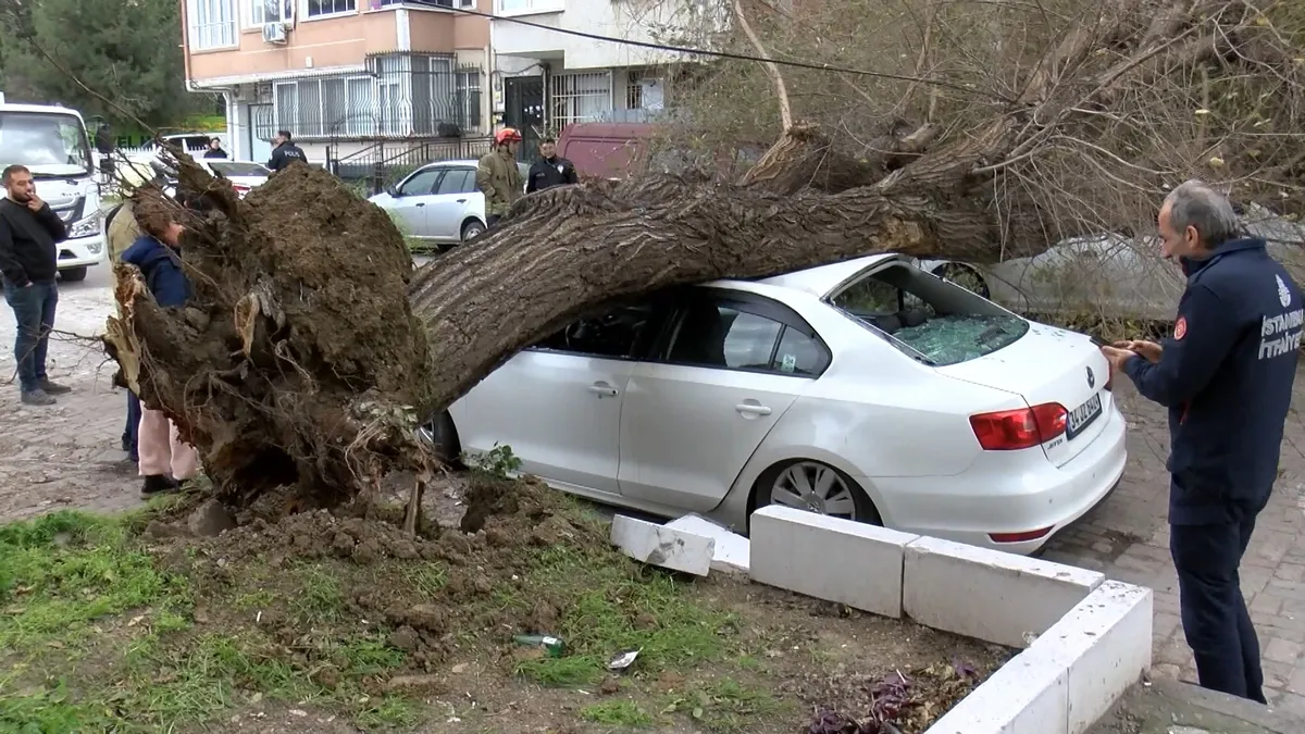 SON DAKİKA… Meteoroloji’nin alarm verdiği lodos İstanbul’da etkisini artırdı: Ağacın altında kalmaktan 1 saniye ile kurtuldu! SON DAKİKA… Meteoroloji’nin alarm verdiği lodos İstanbul’da etkisini artırdı: Ağacın altında kalmaktan 1 saniye ile kurtuldu!