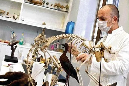 En çok kazandıran 13 meslek