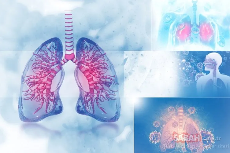 Akciğer sertleşmesi kanserden daha tehlikeli…
