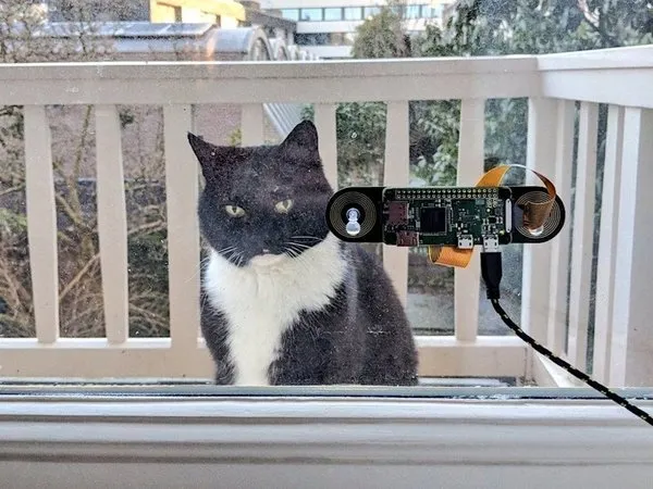 Kedisi için öyle bir şey yaptı ki...