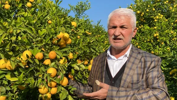 limon-dalda-kaldi-uretici-perisan-bakandan-limona-destek-istiyor-1637244876919.jpg