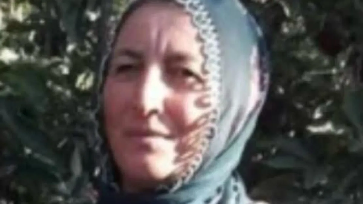 Üzerine ağaç devrilen kadın hayatını kaybetti Üzerine ağaç devrilen kadın hayatını kaybetti