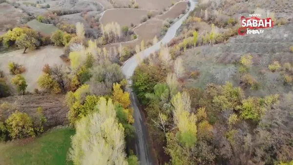 Sonbahardan kışa geçişte renk cümbüşü oluşturan ağaçlar güzelliği ile mest ediyor | Video