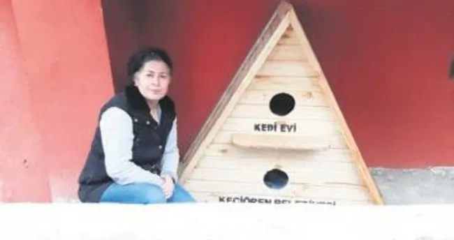 Kedi Evi Iki Gunde Teslim Edildi Ankara Baskent Haberleri