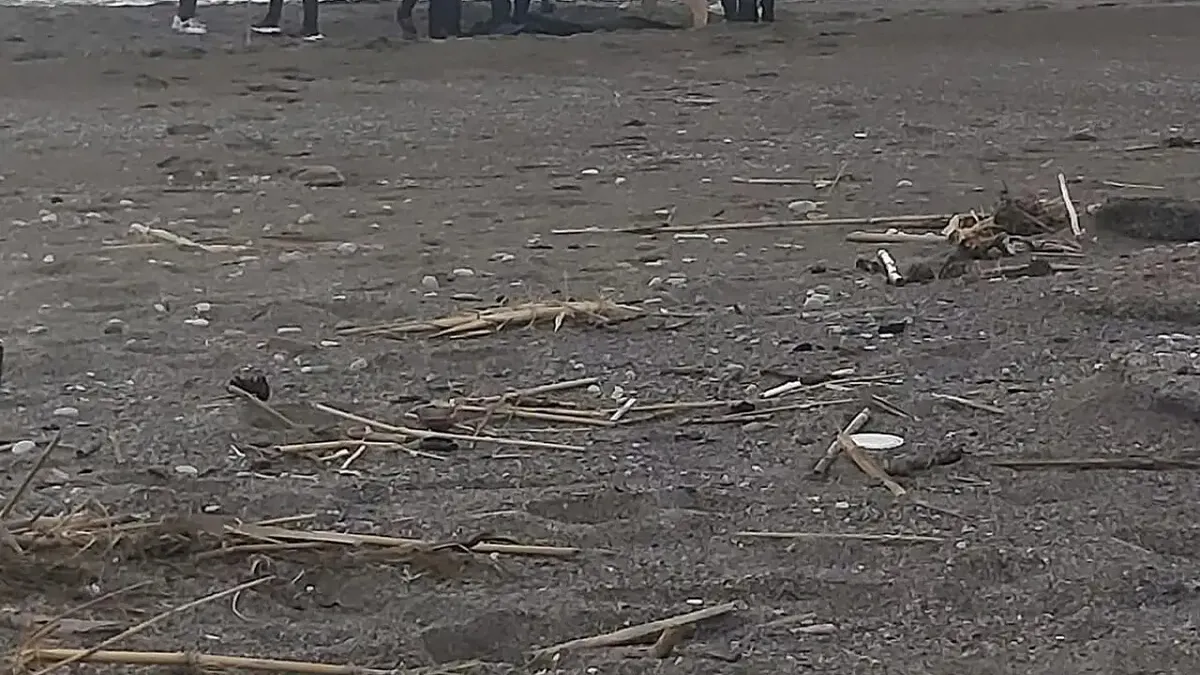 Sahilde parçalanmış erkek cesedi bulundu Sahilde parçalanmış erkek cesedi bulundu