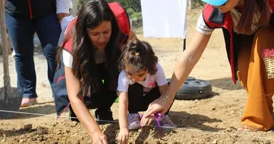 “Anadolu’nun Altını Safran, Kırıkkale’de Filizleniyor” #kirikkale
