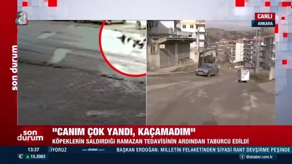 Ankara'da köpeklerin saldırdığı 10 yaşındaki Ramazan Aslan 