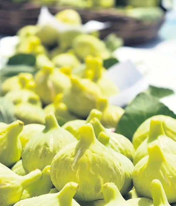 yilda-sadece-birkac-hafta-bulunuyor-omru-kisa-bu-meyvenin-lezzeti-unutulmuyor-1785655899228.jpeg