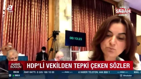 HDP'li vekilden tepki çeken sözler! 
