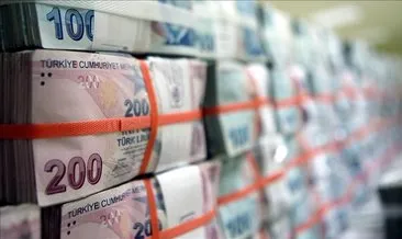 KKM Türk Lirası bakiyesi sıfırlandı