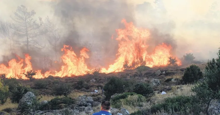 Türkbükü’nde korkutan yangın