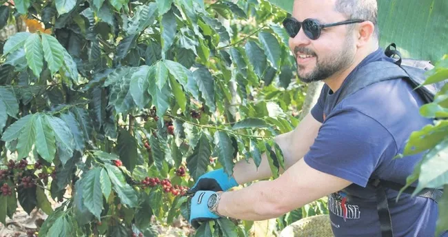 Meksika’da üç günlük eşsiz kahve deneyimi