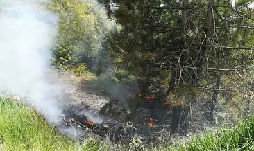 Pazarlar’da orman yangını