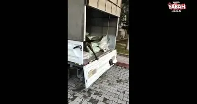 Acı biberli uyuşturucu | Video