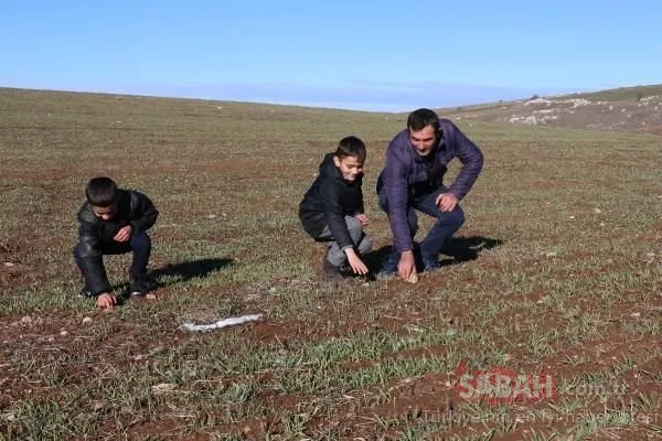 Tarlasında bulup, banka kasasında sakladığı 'gök taşı', müzede sergilenecek