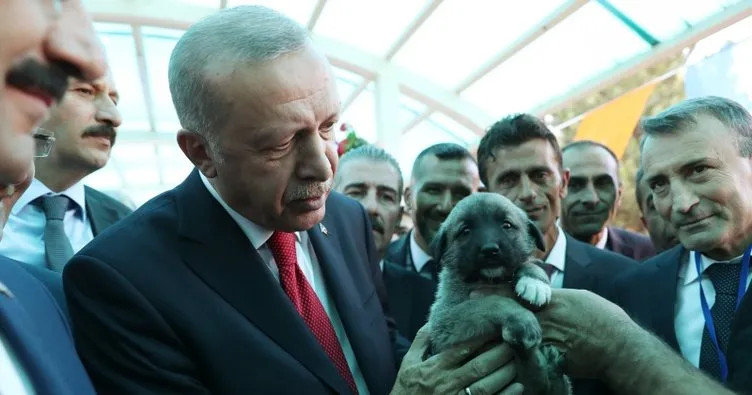 Cumhurbaşkanı Erdoğan’a Kangal yavrusu hediye edildi