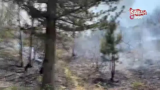 Aydos ormanında korkutan yangın! | Video