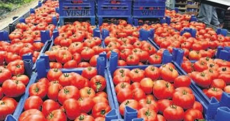 Rusya, domates ithalatına ‘yeşil ışık’ yaktı