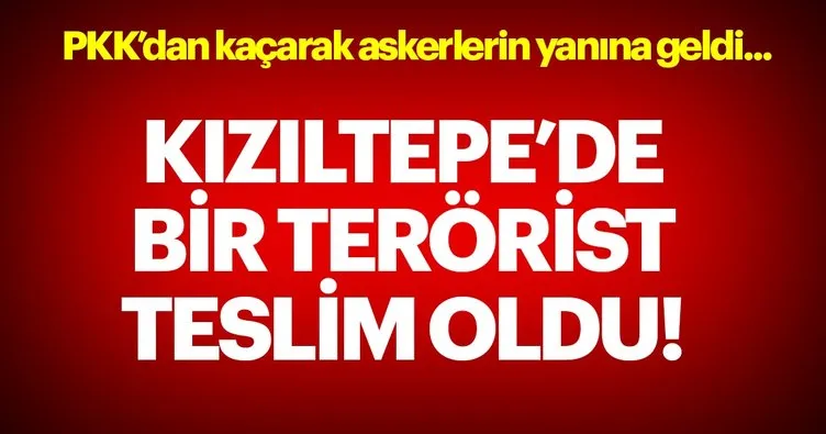 Son dakika: Kızıltepe’de bir terörist teslim oldu