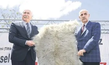 Ankara keçisine destek % 100 arttı #ankara Ankara keçisine destek % 100 arttı #ankara