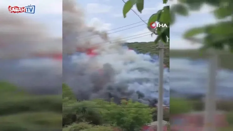 Kocaeli'de ağaçlık alanda yangın | Video