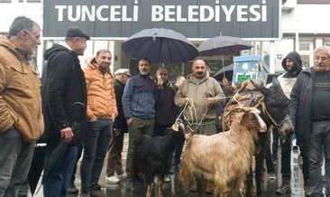 Tunceli Belediyesini keçi, eşek ve arı kovanı ile protesto ettiler #tunceli