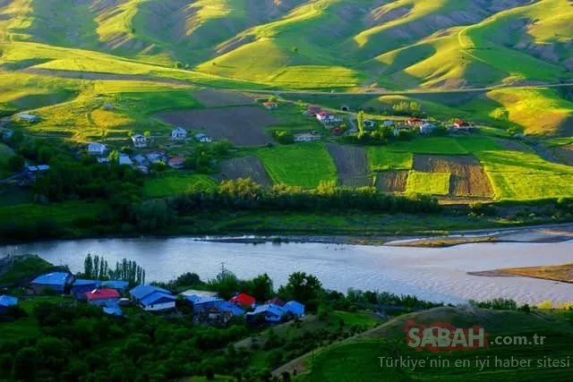 İl il Türkiye'nin 2019 nüfusu