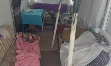 Ayılar Sis Dağı’nda yayla evlerine dadandı: “10 Evde büyük tahribat” #trabzon