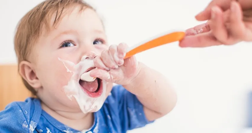 Bebekler için yoğurt hangi sütle mayalanmalı?