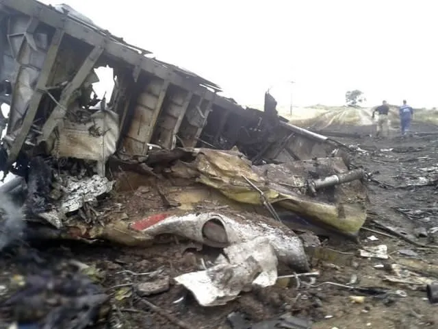 Malezya yolcu uçağı düştü