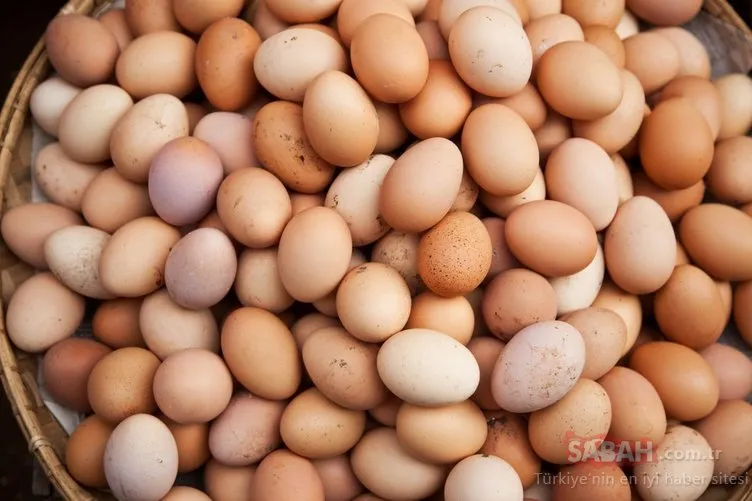 Kanser ilaçları yumurtlayan tavuk yetiştirildi!