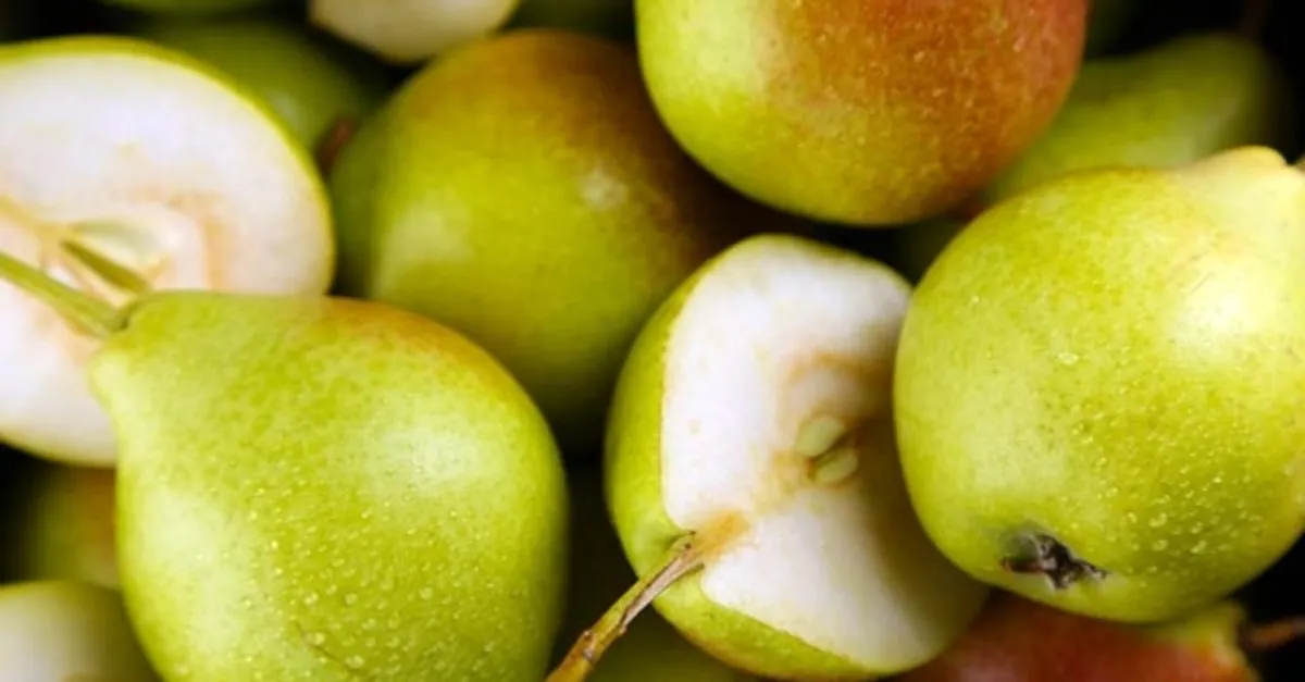 ruyada armut gormek ne demek ruyada armut gormek ile ilgili ruya tabirleri son dakika haberler