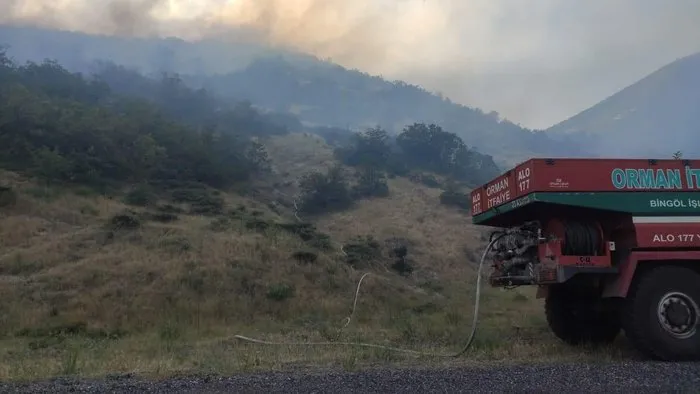 Bingöl’de iki köyde çıkan orman yangını büyümeden söndürüldü
