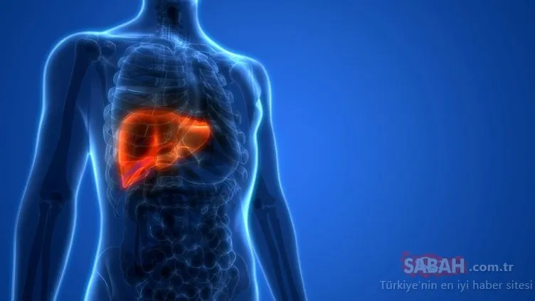 Bu belirti karaciğerinizin toksinlerle dolu olduğunu gösteriyor!