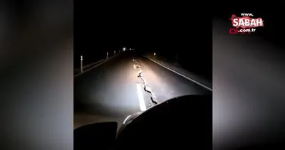 Arjantin’de yolu ortadan ikiye bölen 6,4 büyüklüğündeki deprem anı kamerada | Video