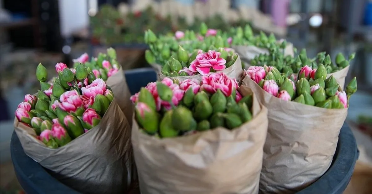 Türkiye'den 83 ülkeye 125 milyon dolarlık çiçek ihracatı -