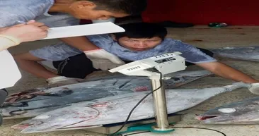 70 bin dolara satılan orkinos