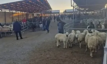 Kırıkkale’de şap alarmı! Hayvan pazarı kapatıldı #kirikkale