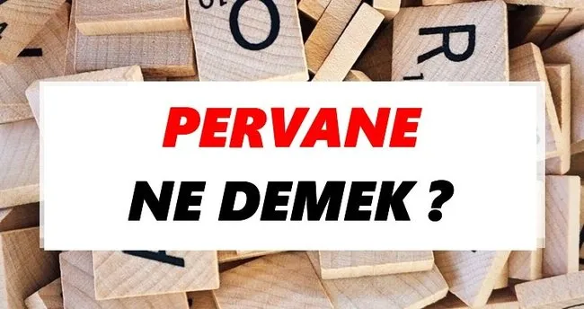 Pervane Ne Demek? TDK’ya Göre Pervane Sözlük Anlamı Nedir?
