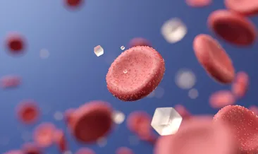 Yüksek rakımda diyabet daha az görülüyor: Bilim insanları nedenini keşfetti