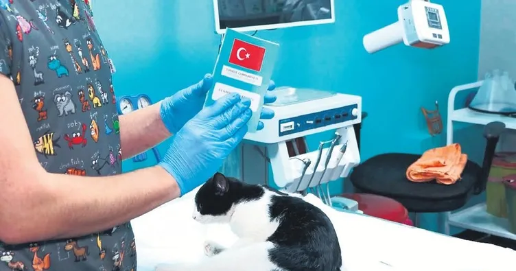 Çip taktırmak için son gün 31 aralık