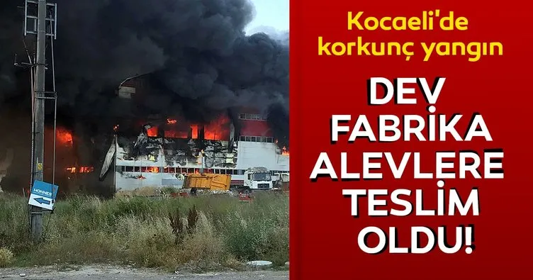 Son dakika: Kocaeli’de fabrika yangını! Dev fabrika alevlere teslim oldu