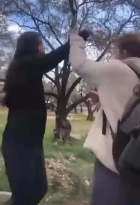 Muğla’da 13 yaşındaki kız öğrenci arkadaşını darbetti! Akran zorbalığı kamerada!