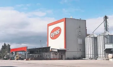 Aynes, TMSF’de ciroyu üçe katladı