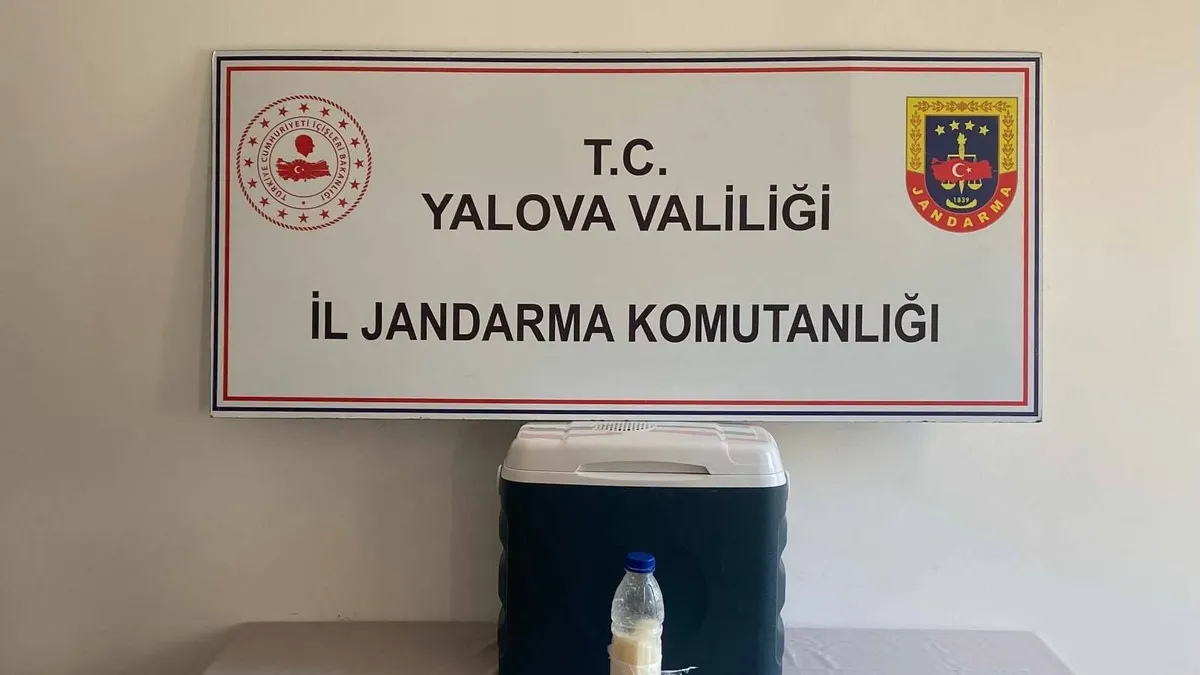 Bu şişenin değeri 5 milyon dolar: Kaçak yollarla Türkiye’ye getirdiler! Altından daha değerli… Bu şişenin değeri 5 milyon dolar: Kaçak yollarla Türkiye’ye getirdiler! Altından daha değerli…