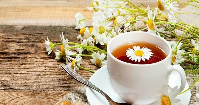 reflu bitkisel tedavisi nasil