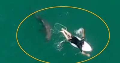 Avusturyalı sörfçünün köpek balığına yem olmaktan son anda kurtulduğu anlar kamerada | Video