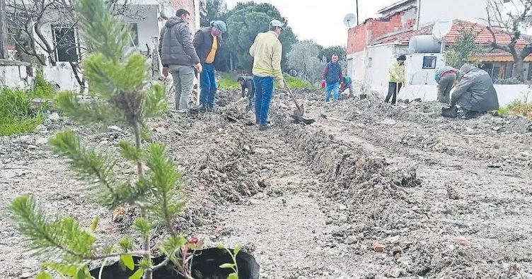 Kaçak yapıların yerine 200 fidan