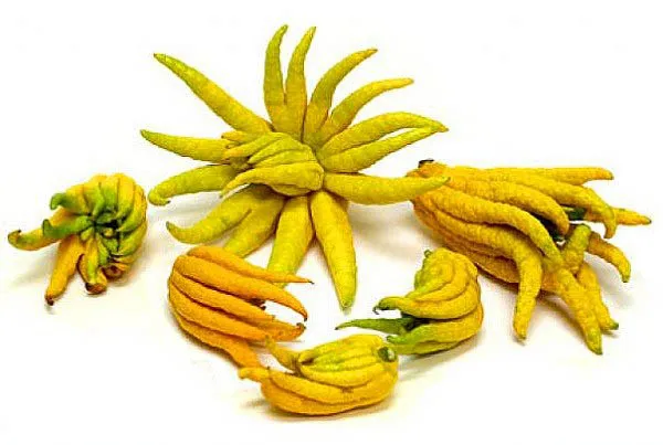 Kolay kolay bulamayacağınız 10 ilginç meyve