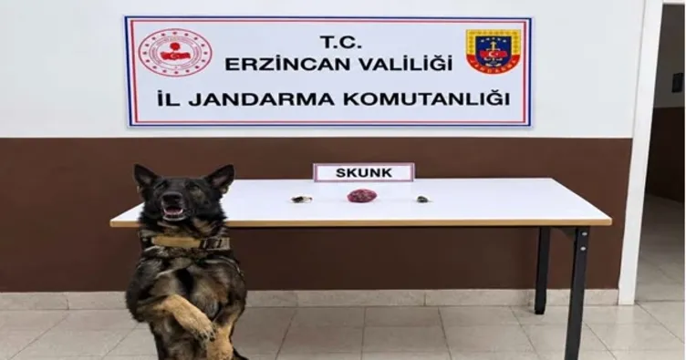 Erzincan’da uyuşturucu operasyonu!